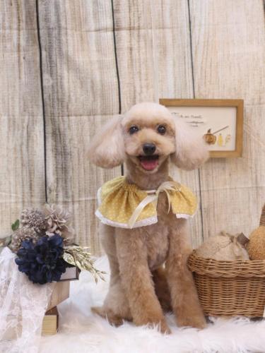 20241018うたちゃん